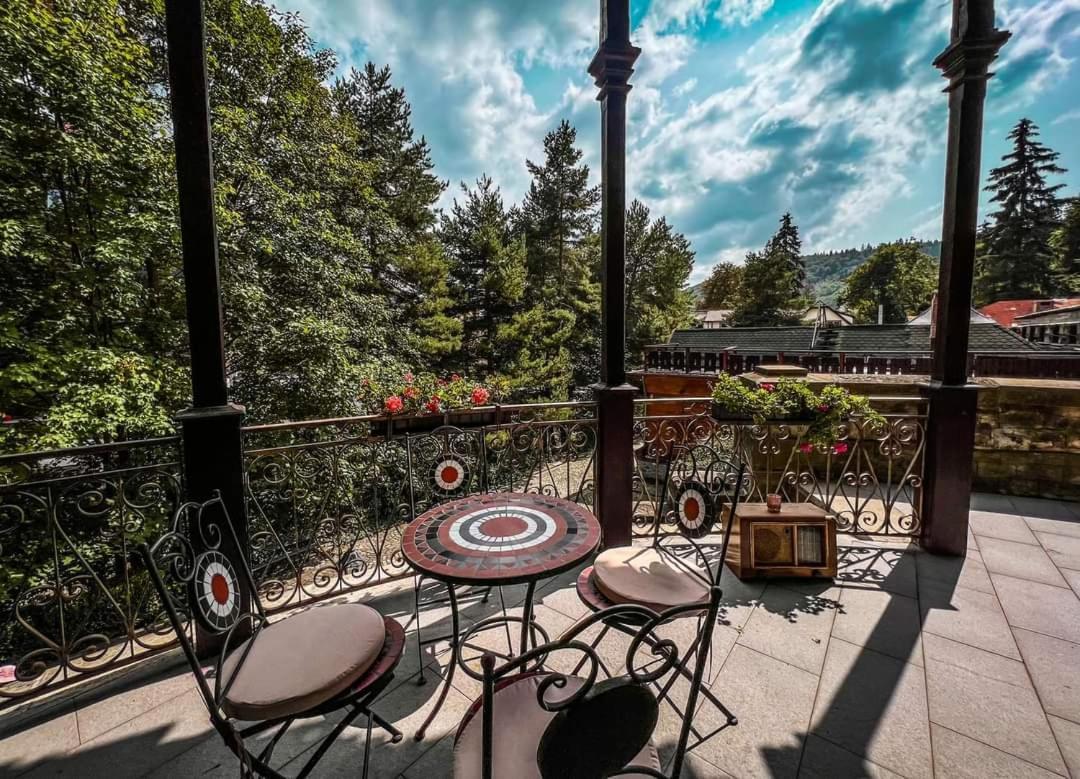 Castelul Stirbey Hotel Sinaia Exterior photo
