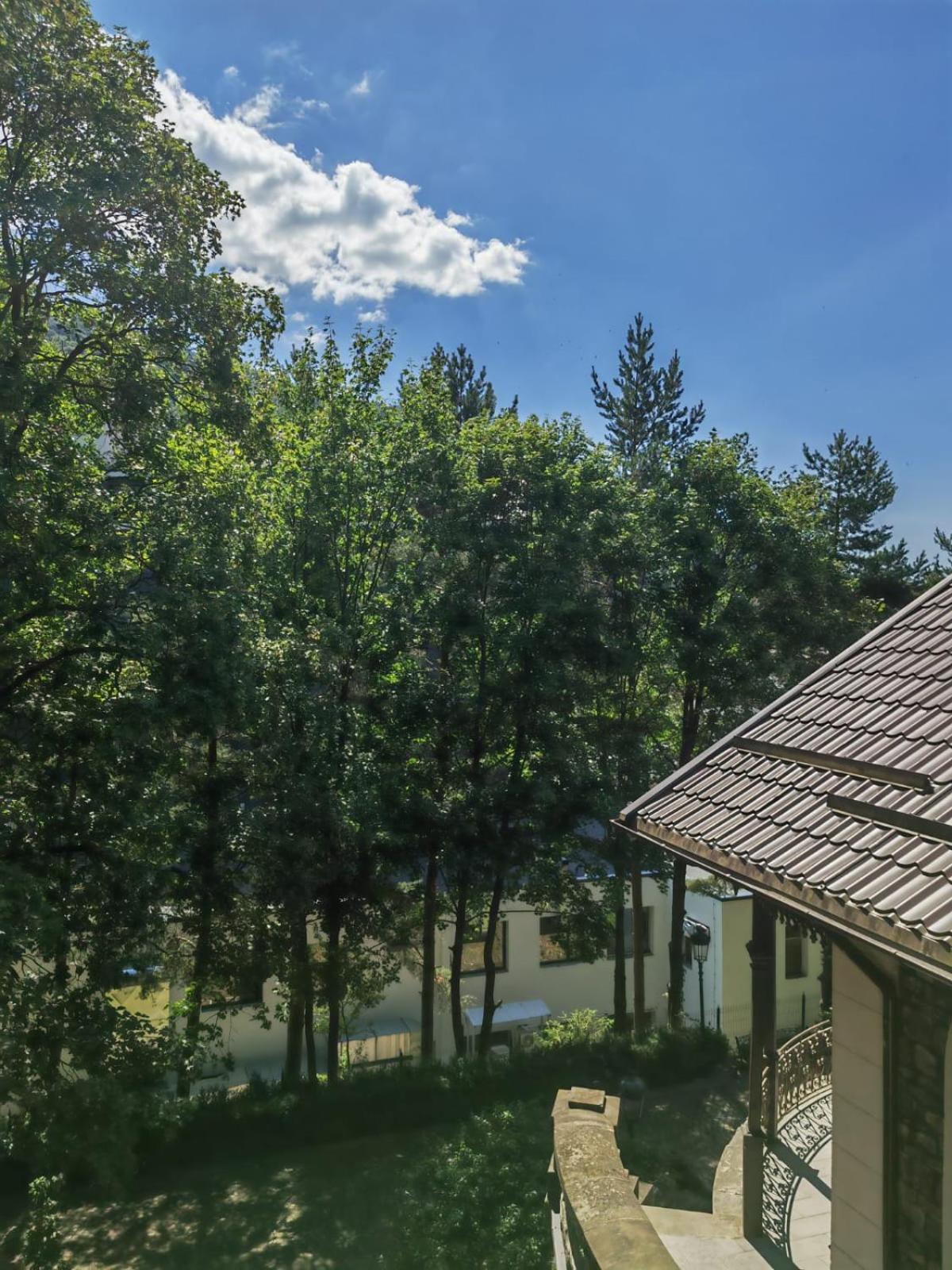 Castelul Stirbey Hotel Sinaia Exterior photo
